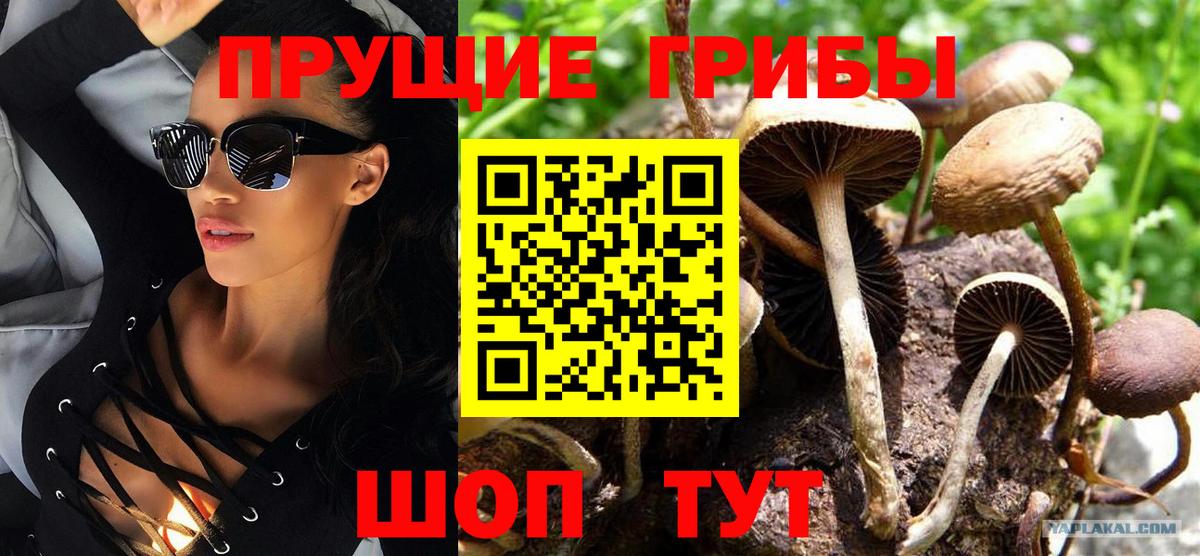 Галлюциногенные грибы MAGIC MUSHROOMS  Псилоцибиновые грибы Psilocybine cubensis  Канск  Вход с VPN 